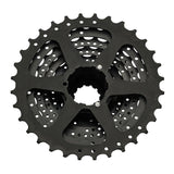 Zadnji verižnik Shimano Altus Shimano CS-HG31 11-34 (8 prestav)