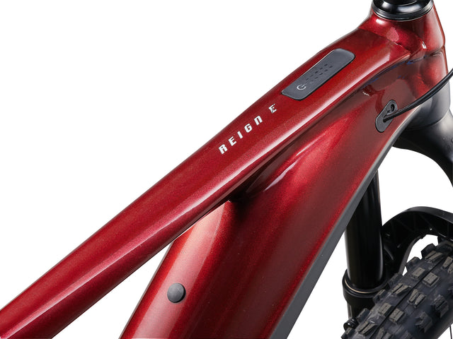 Električno enduro kolo Giant Reign E+ 29/27.5" 2 800Wh (sangria)