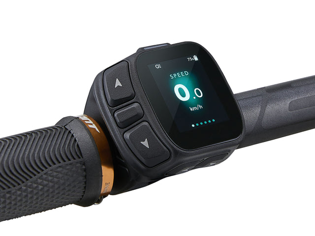 Električno gorsko kolo Giant Stance E+ 2 625Wh (desert sage/black)