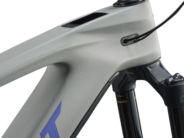 Električno karbonsko enduro kolo Giant Reign Advanced E+ 2 560Wh (moon dust)