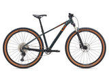 Gorsko kolo Giant Liv Tempt 29" 0 (asphalt green)