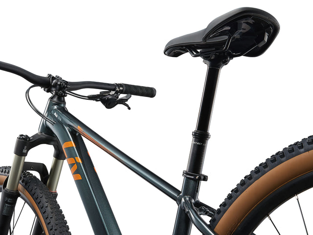 Gorsko kolo Giant Liv Tempt 29" 0 (asphalt green)