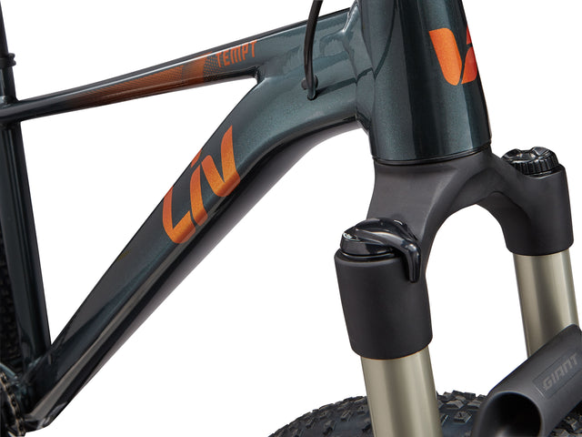 Gorsko kolo Giant Liv Tempt 29" 0 (asphalt green)