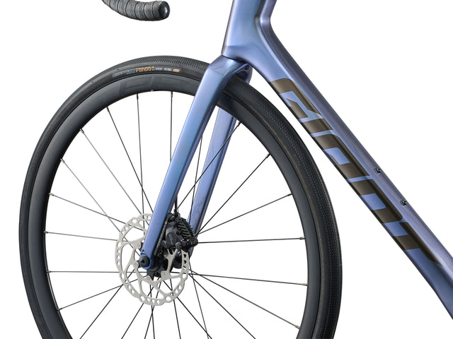 Karbonsko cestno kolo Giant Defy Advanced 1 (thundercloud/chrome)