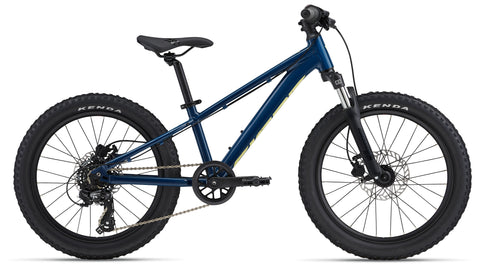 Otroško kolo Giant STP 20 FS (blue palace)