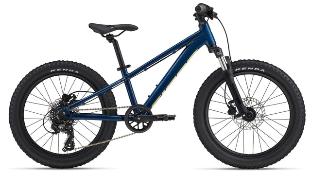 Otroško kolo Giant STP 20 FS (blue palace)