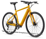 Električno kolo Giant Momentum Voya E+ 250Wh (bumblebee) + BREZPLAČNA DODATNA OPREMA