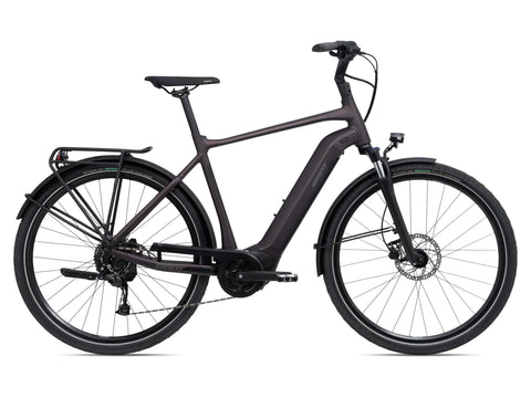 Električno kolo Giant DailyTour E+ 3 GTS 500Wh (rosewood)