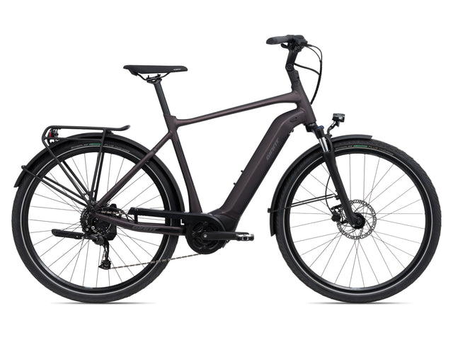 Električno kolo Giant DailyTour E+ 3 GTS 500Wh (rosewood)