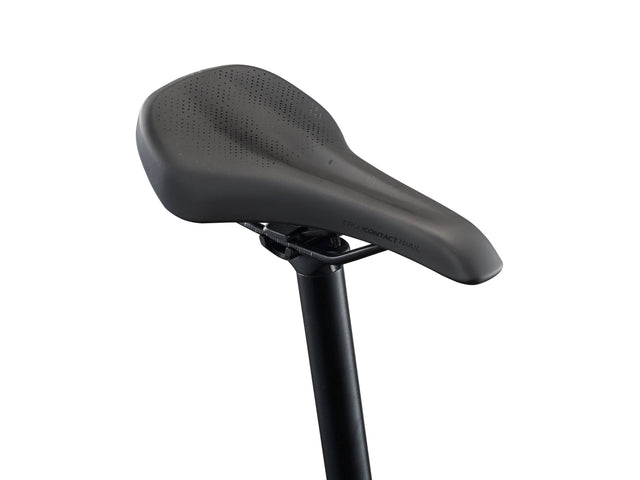 Žensko električno kolo Giant Liv Tempt E+ 29" 430Wh (lunar eclipse)