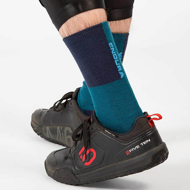 Zimske kolesarske nogavice Endura BaaBaa Merino (electric blue)